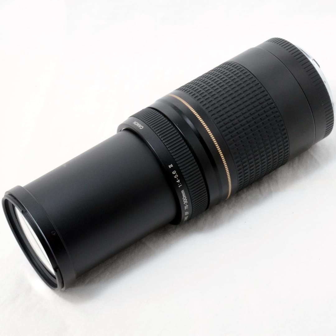 ⭐️良品⭐️Canon キャノン EF 75-300mm F4-5.6ⅡUSM