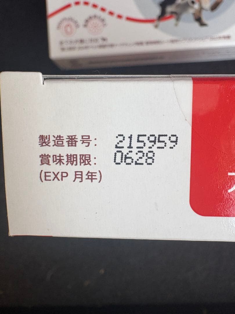 アンチノール 90粒