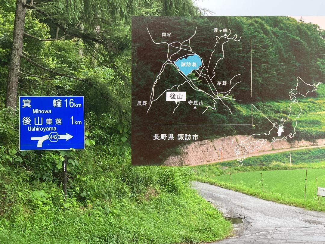 【ゆみ】 長野県産 国産蜂蜜 1000g 3本 生蜂蜜 セイヨウミツバチ