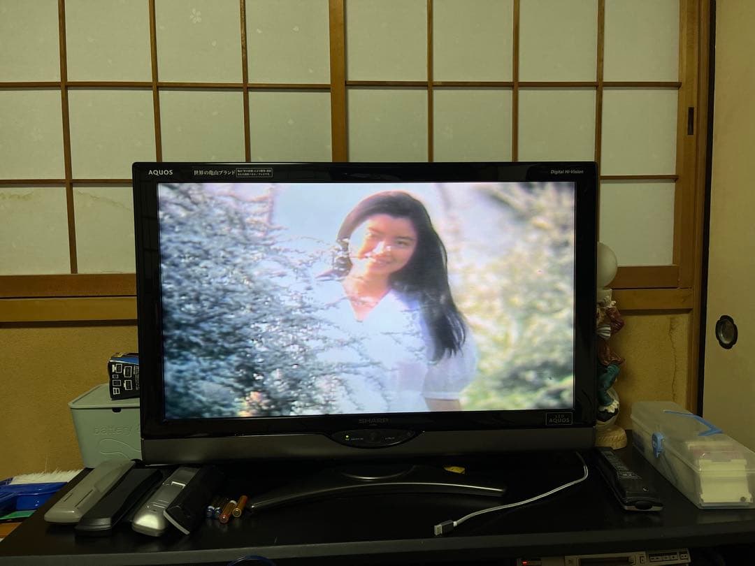 レーザーディスク　四色の花火 篠山紀信撮影　10代の手塚理美のお宝映像再生確認