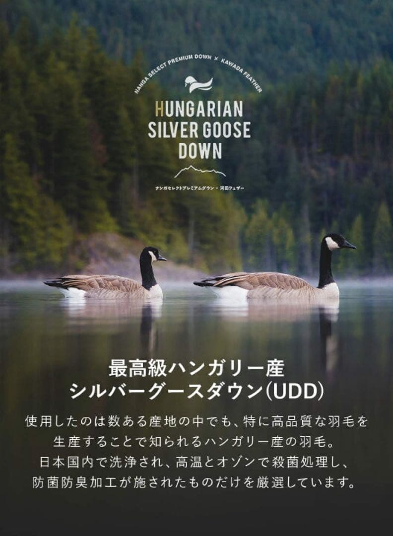 NANGA TYPE 1 サイズXXL 黒　ナンガ　ホワイトレーベル　最強ダウン