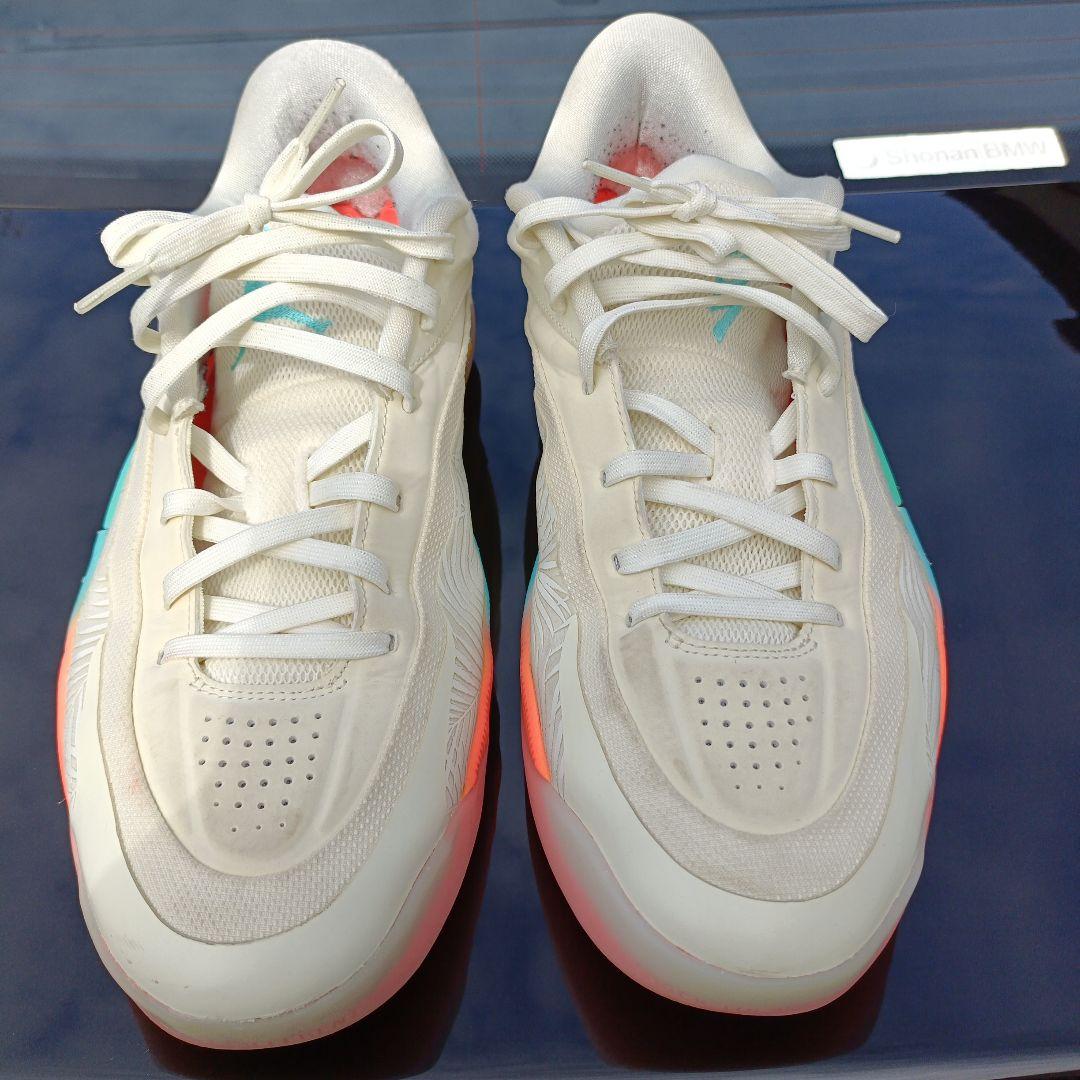 NIKE ザイオン 4 PF Low Country 30㎝