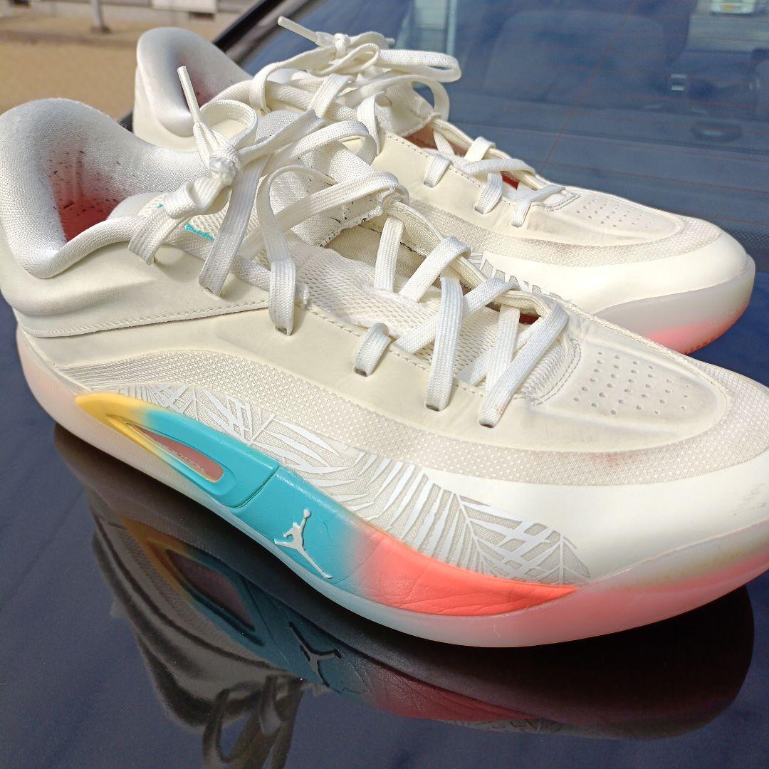 NIKE ザイオン 4 PF Low Country 30㎝