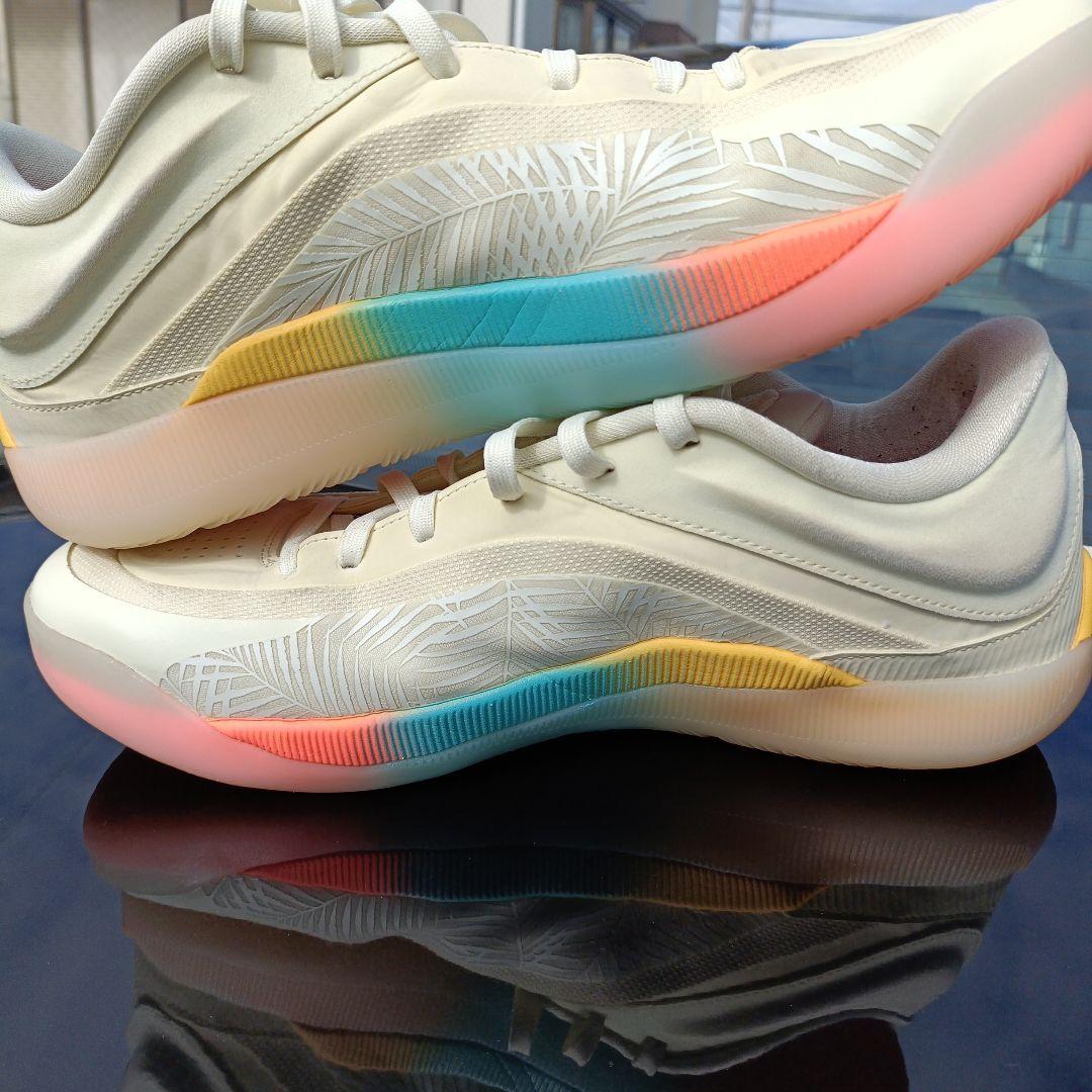 NIKE ザイオン 4 PF Low Country 30㎝