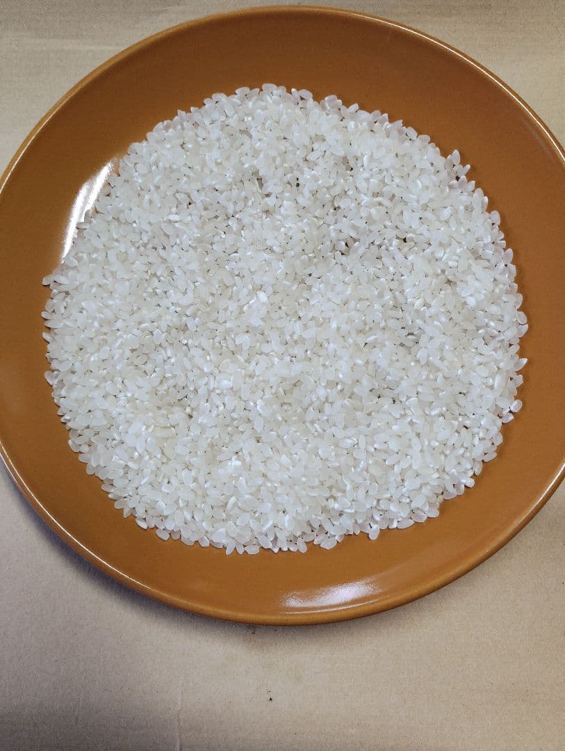 令和6年産　彩のかがやき　白米10キロ②