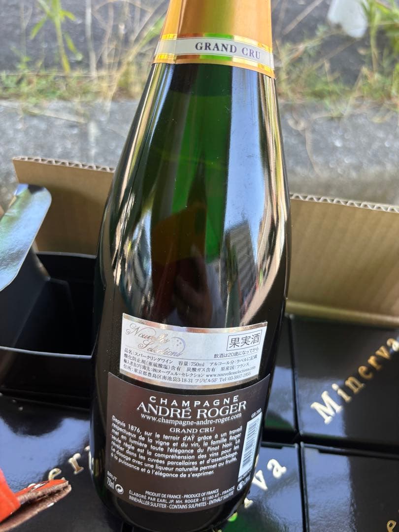 シャンパンミネルヴァ