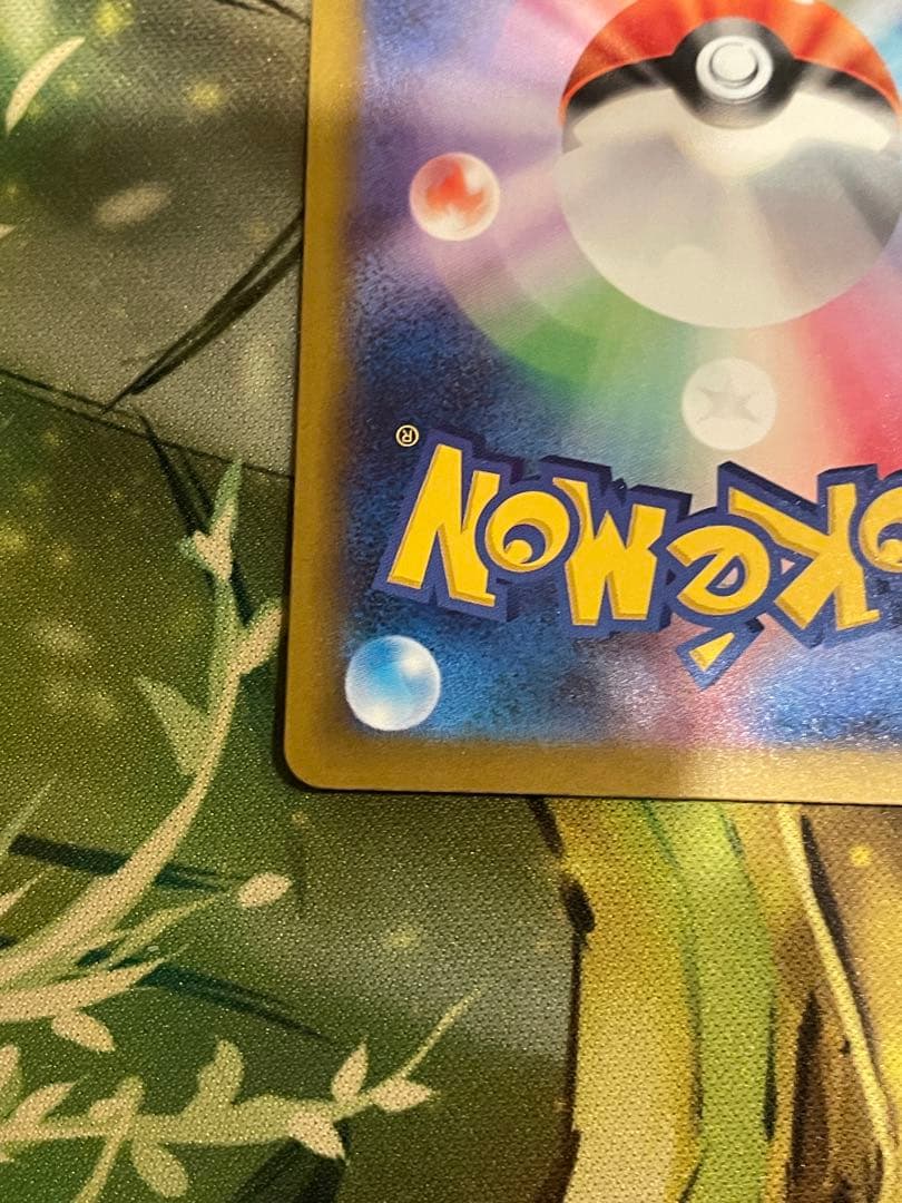 【ローダー付自引き品！】 メガカイリューex sar 1枚