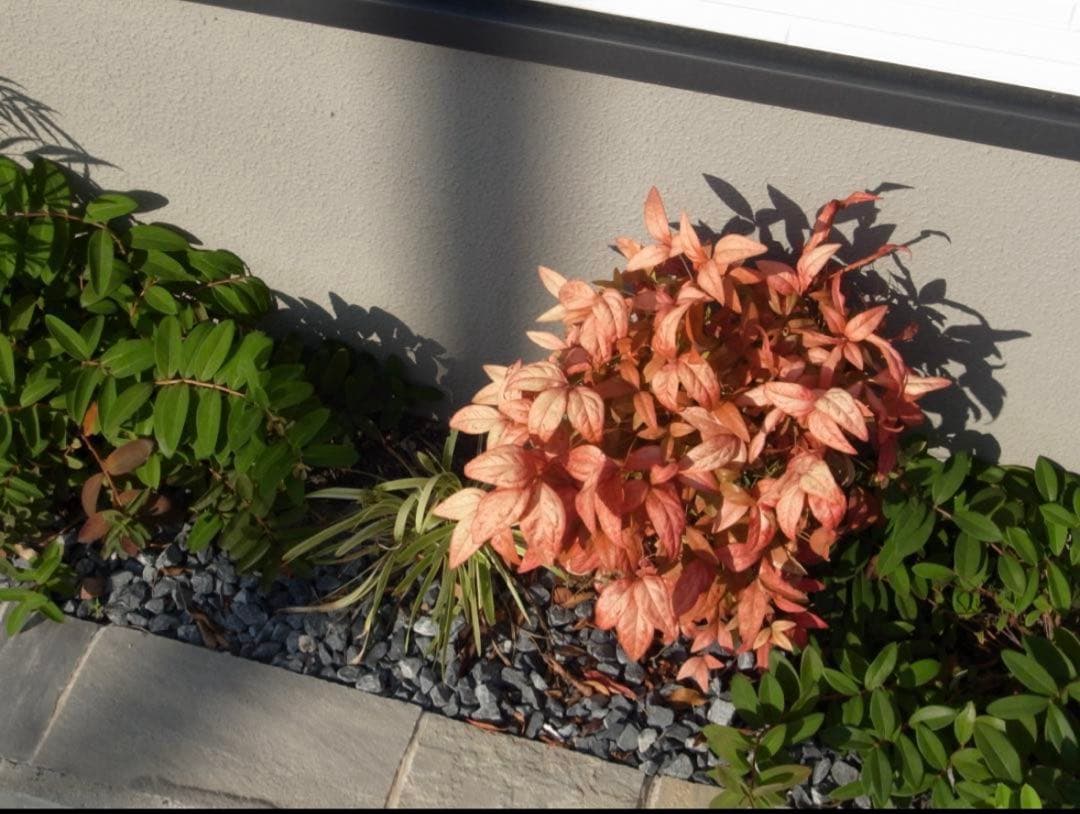 ✨ショット数3468回✨スマホ転送キット✨GR DIGITAL III 　587