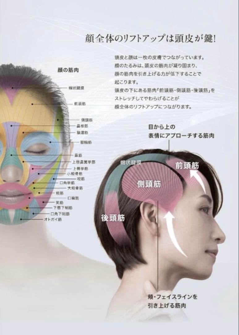 コメントでお値下げ　テラミースプラッシュパルス2700 マルチ美顔器　動作確認済