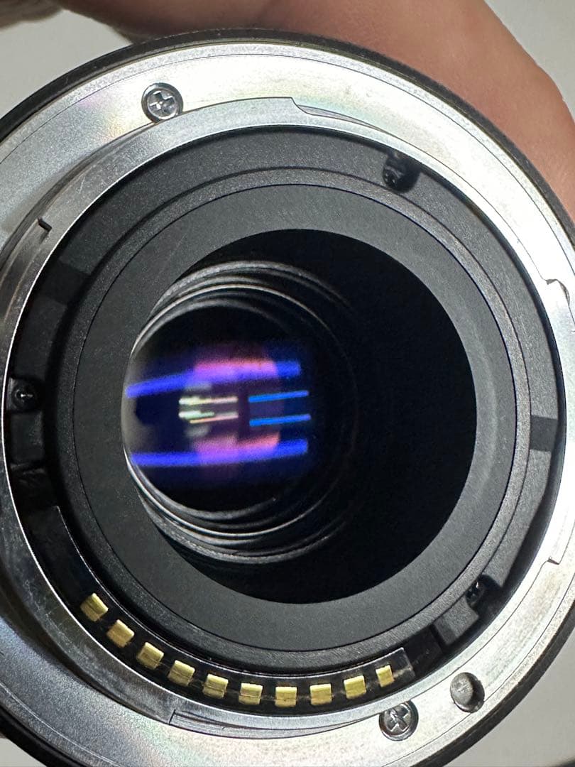 桜*人様 SONY SEL24F18Z