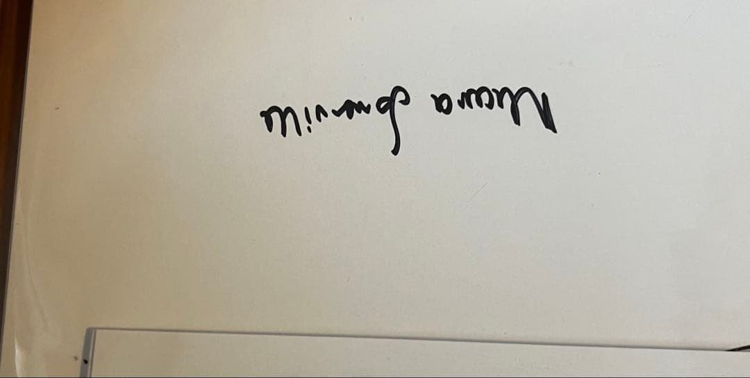 マリア サマーヴィル ラスター レコード MARIA SOMERVILLE