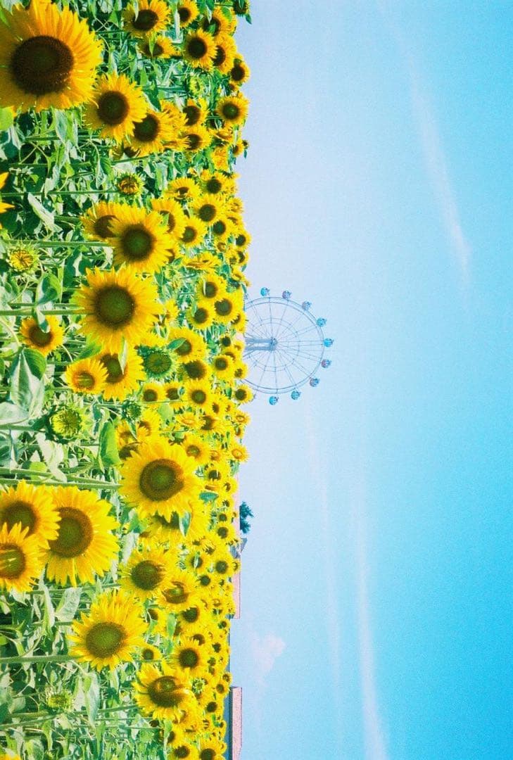 OLYMPUS PEN EE-3 フィルムカメラ