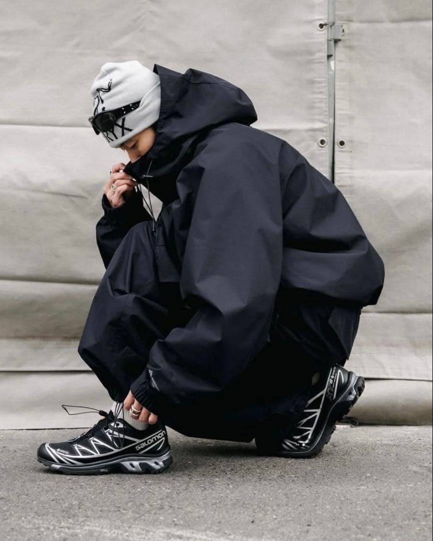 アークテリクス Bird Word Toque ビーニー ニット帽 グレー