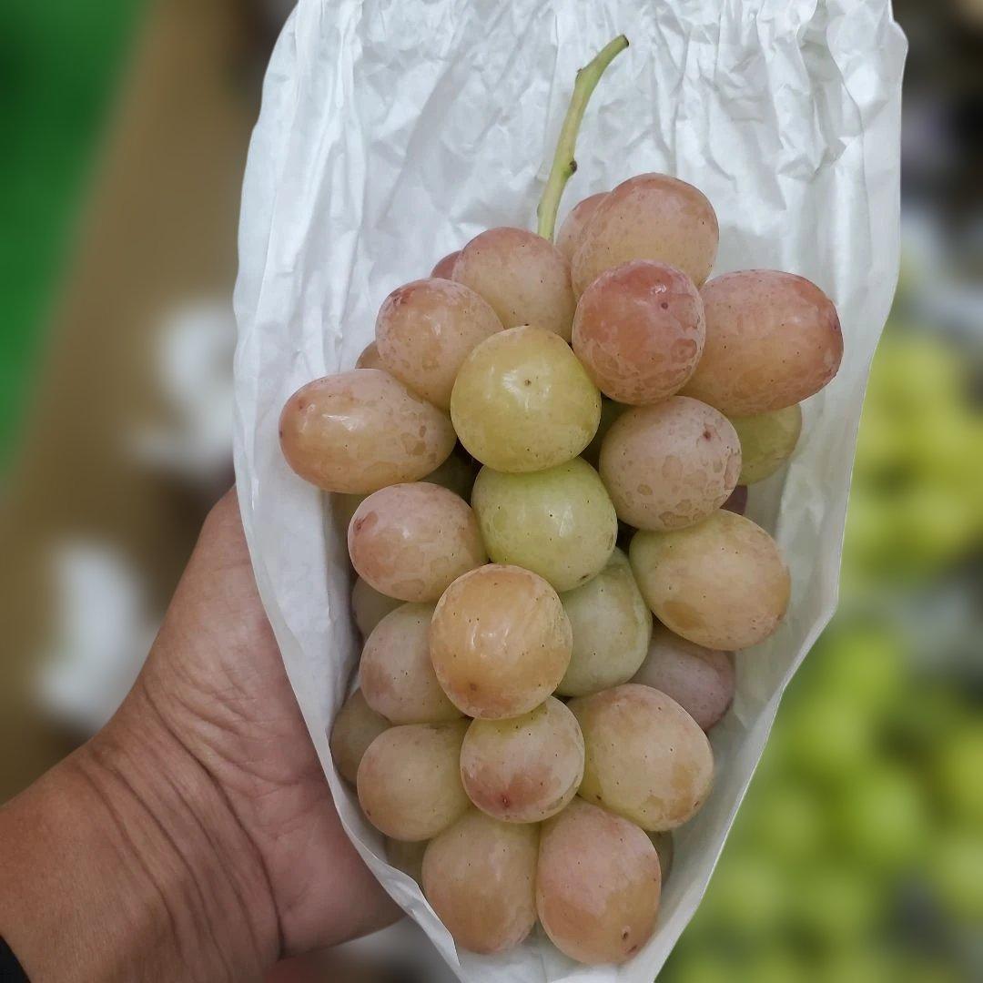 3️⃣ 山梨県産 シャインマスカット＆スカーレット １０房入り 箱込み5.4キロ