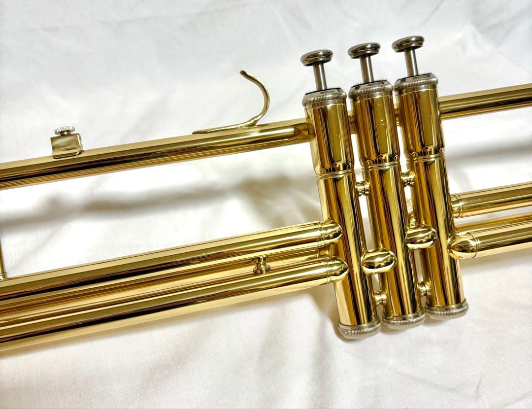 【音出し確認済】バルブトロンボーン/ピストントロンボーン