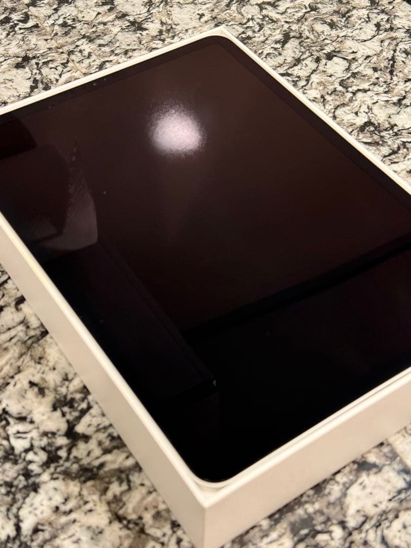 【美品】Apple iPad Pro 11インチ 第2世代 1TB WiFi