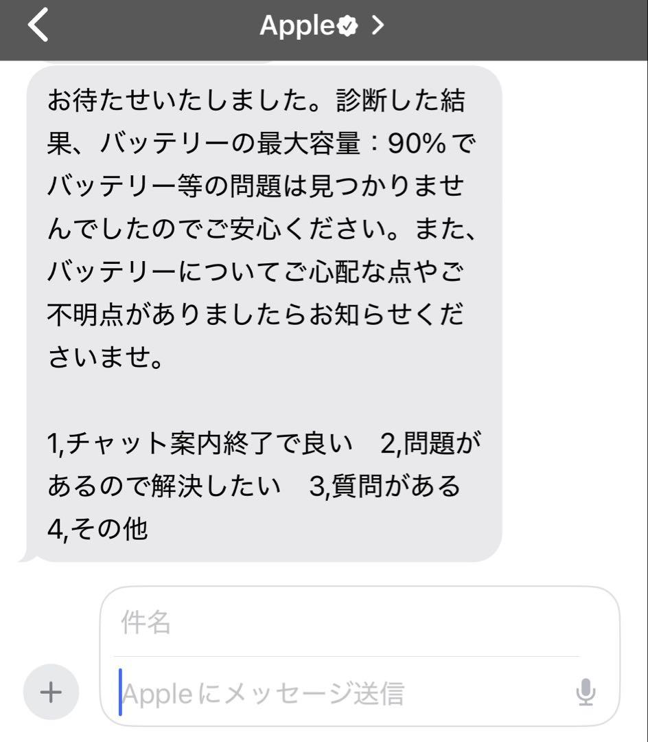 iPad mini 5 ゴールド 本体　バッテリー最大容量90％