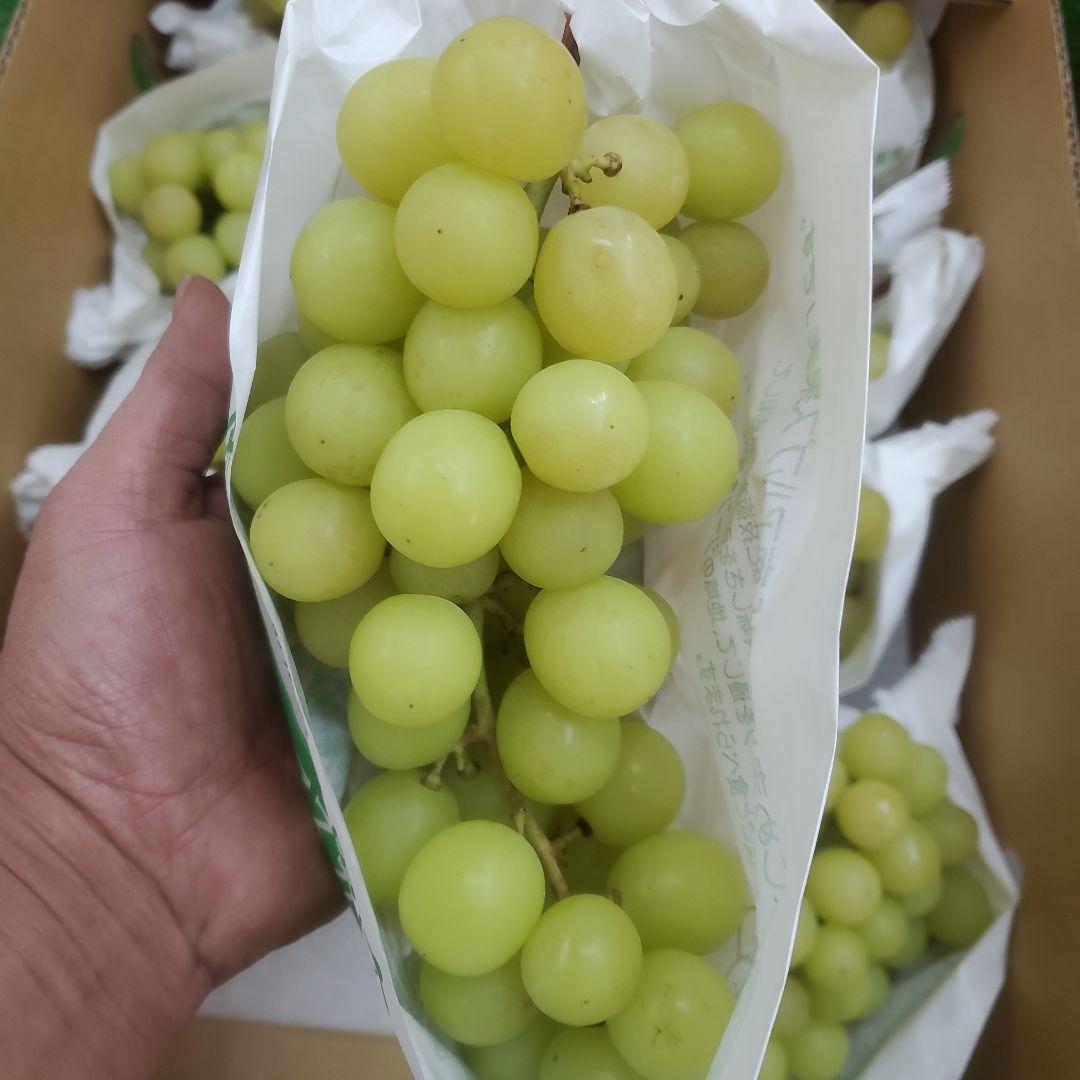 1⃣ 山梨県産 シャインマスカット ９房入り 箱込み5.4キロ