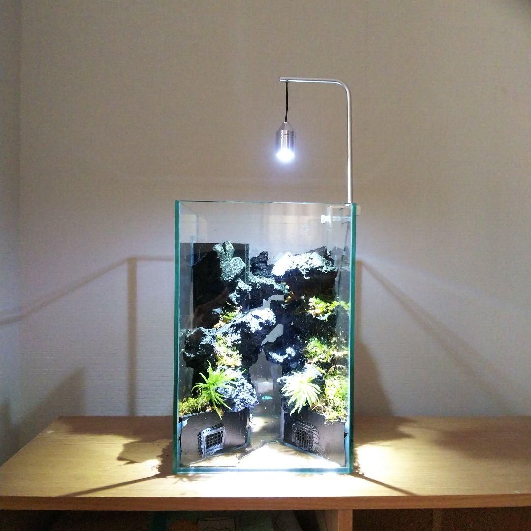 【完成品】滝の流れるアクアテラリウム　イモリウム　苔　　アクアテラリウム完成品