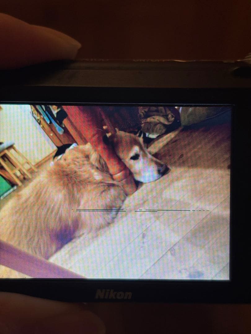 Nikon coolpix A100 （良品）