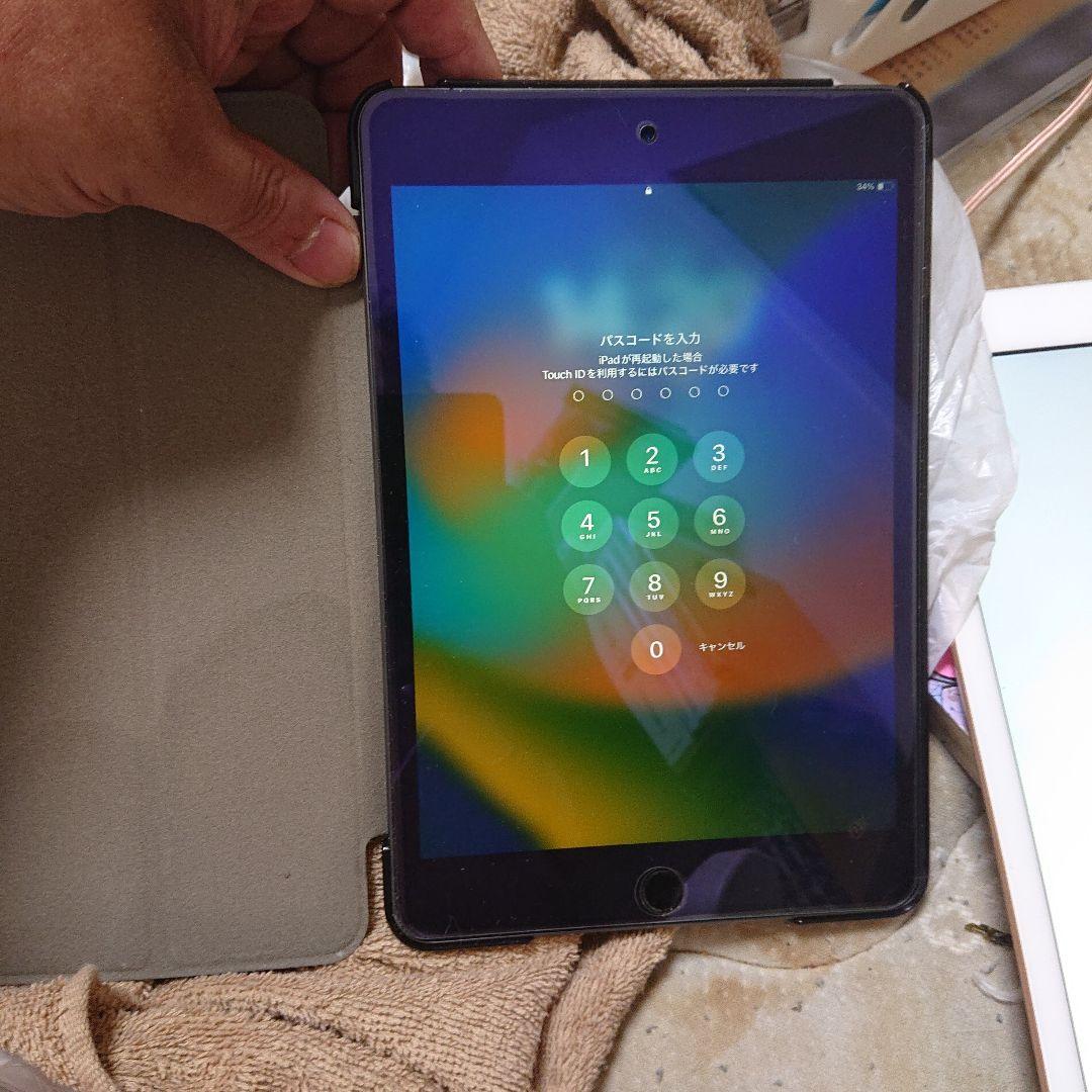 iPad mini (第5世代) グレー 256GB wifiプラスセルラー