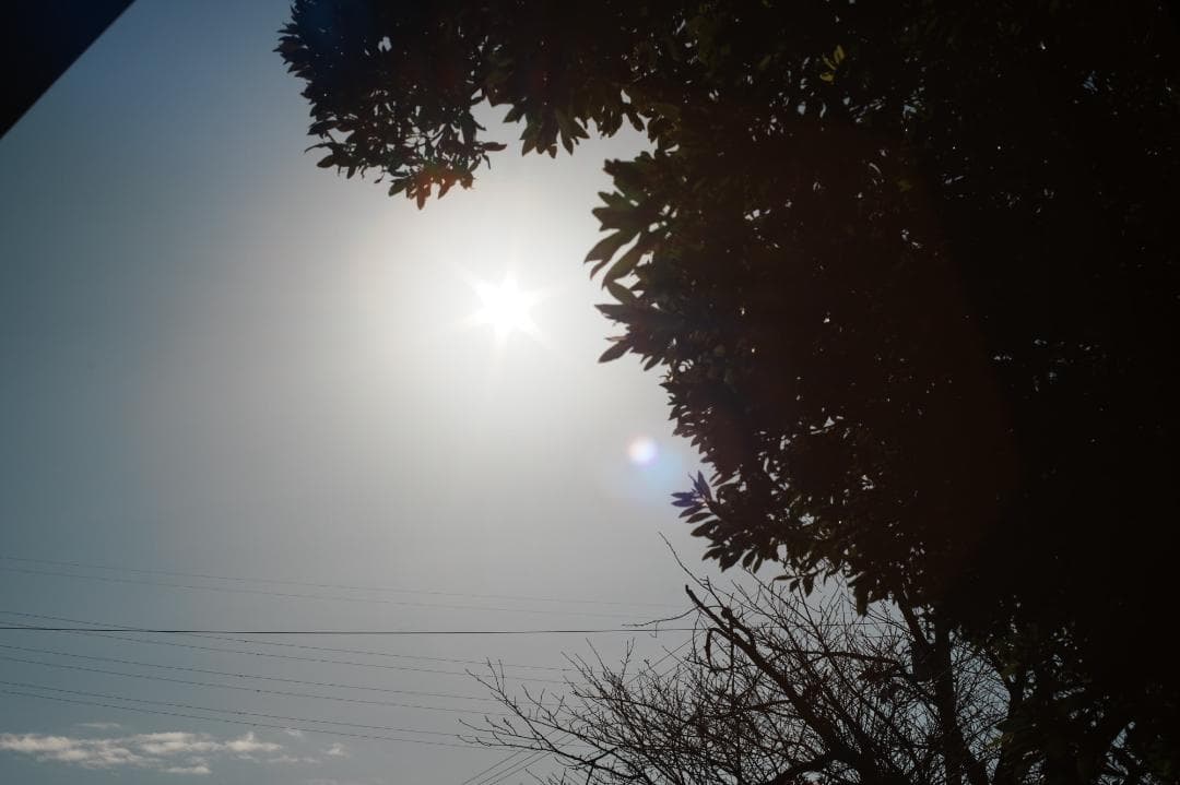 【この値段でライカ級】富岡光学製 XR RIKENON 50mm F2 293