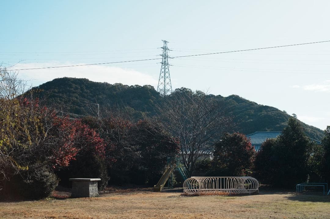 【この値段でライカ級】富岡光学製 XR RIKENON 50mm F2 293