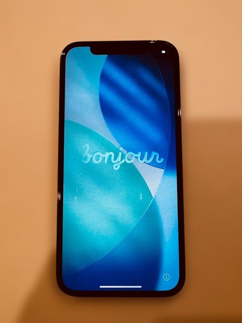 ブルー iPhone12 Pro Dual-SIM 256GB 香港版