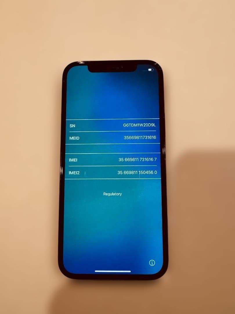 ブルー iPhone12 Pro Dual-SIM 256GB 香港版