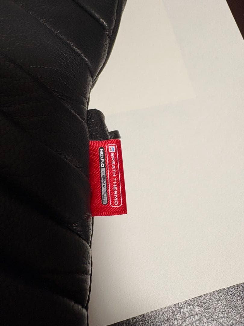 【未使用】ミズノ スキーグローブ M ブレスサーモ リフレクションギア レザー