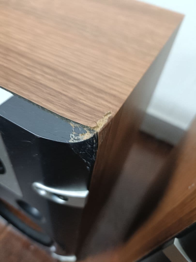 スピーカー・ウーファー DALI LECTOR1