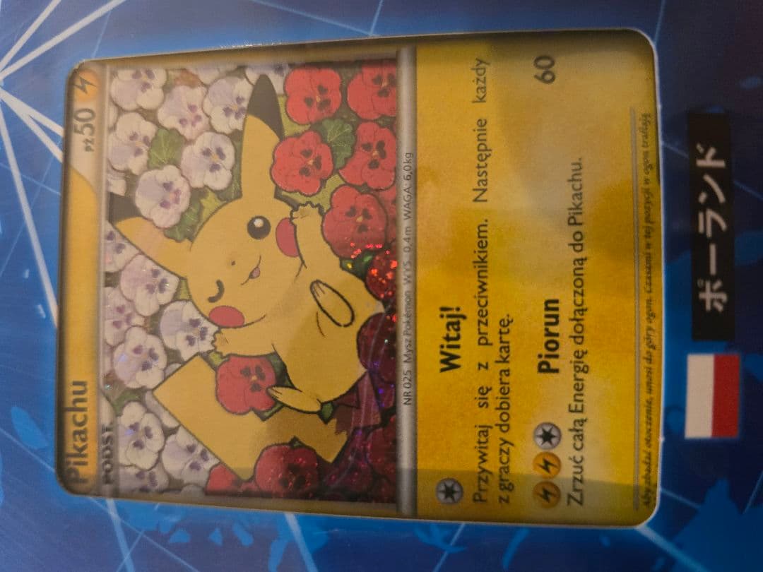 ポケモンカード【ピカチュウワールドコレクション2010】未開封