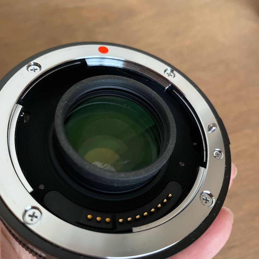 SIGMA 150-600 f5-6.3 DG.OS HSM キヤノン テレコン