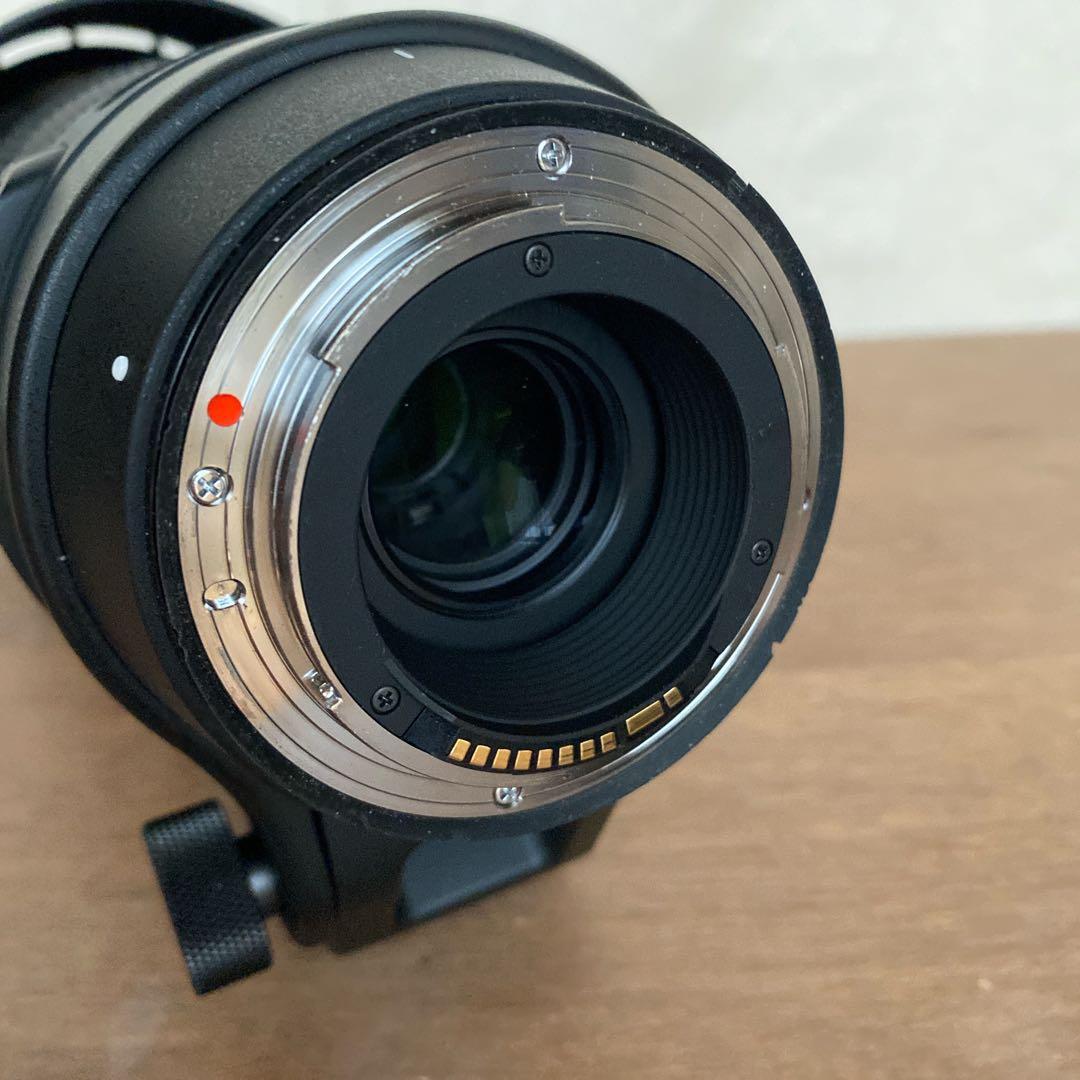 SIGMA 150-600 f5-6.3 DG.OS HSM キヤノン テレコン