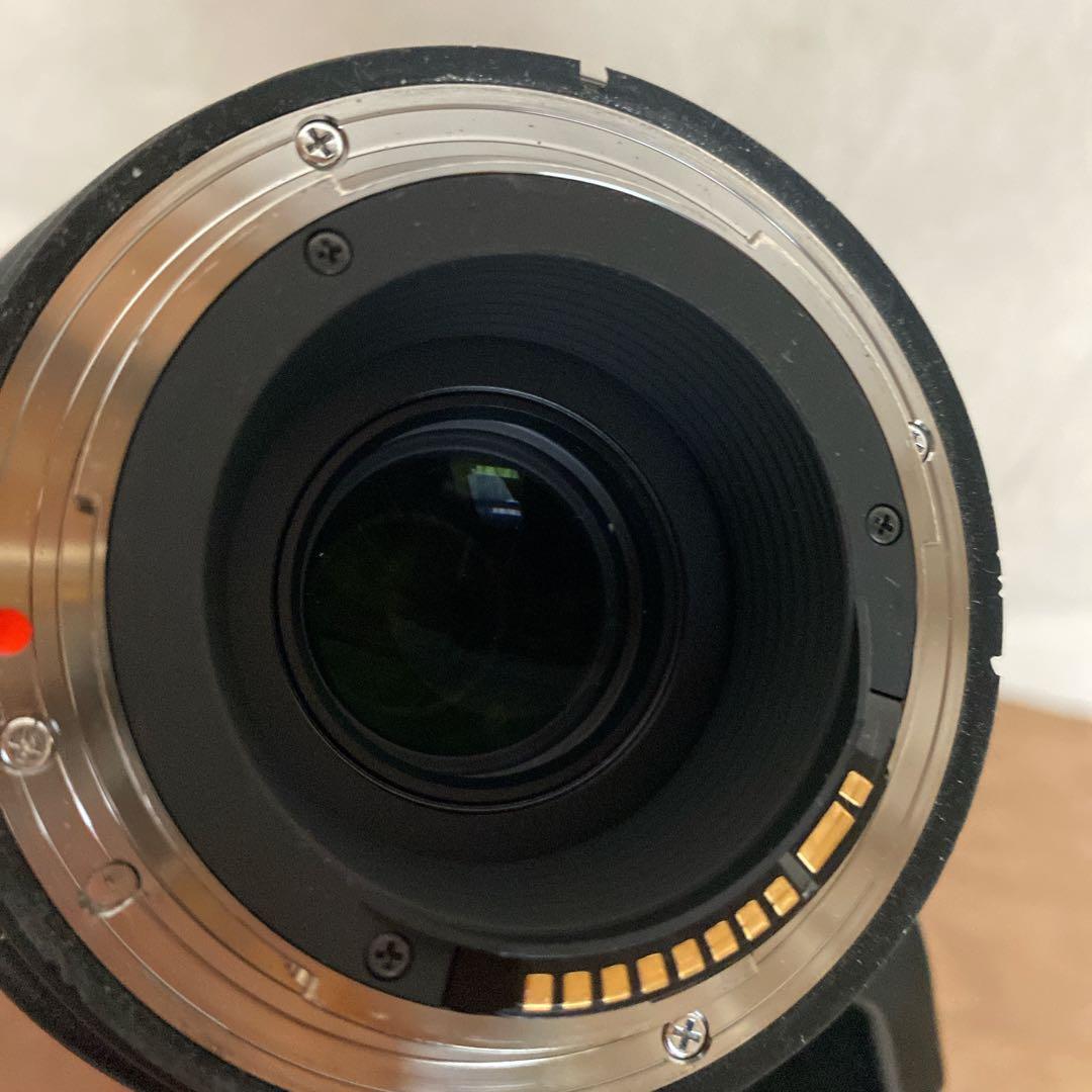 SIGMA 150-600 f5-6.3 DG.OS HSM キヤノン テレコン