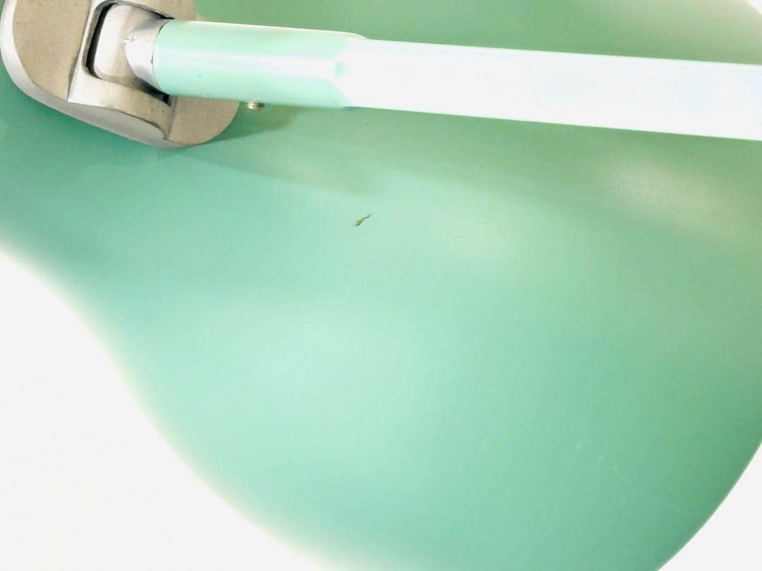 ANGLEPOISE TYPE-75 限定カラー マーガレットハウエル