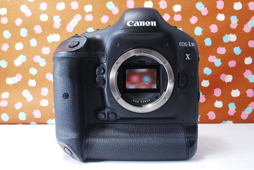 ✨付属品充実✨元箱付き✨Canon EOS-1DX ボディ