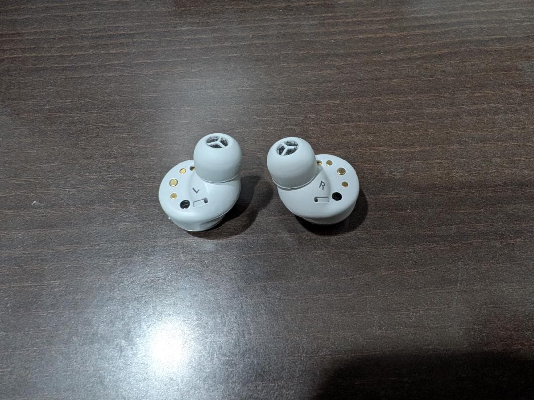 Technics テクニクス panasonic EAH-AZ100 シルバー