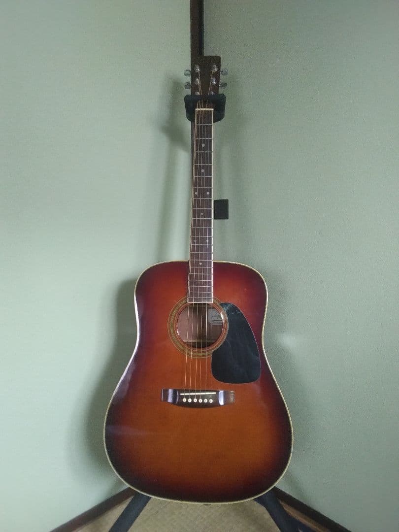 タカミネギター