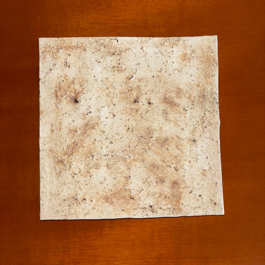 内田鋼一氏作 加彩盤(小)