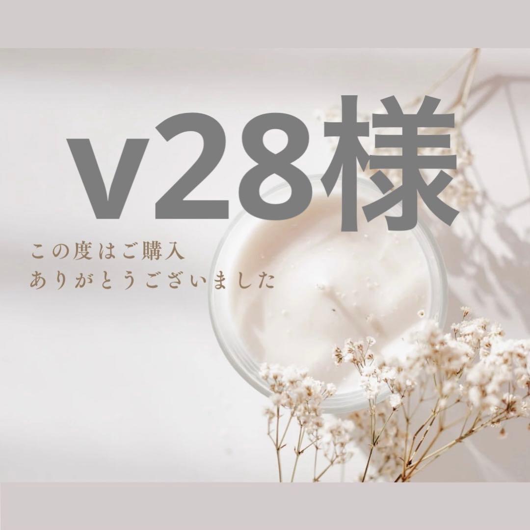 v28様