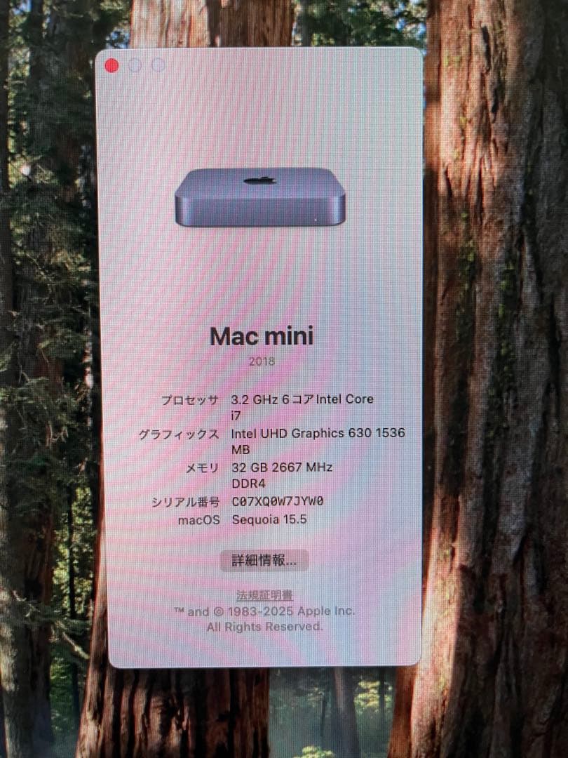 ツ*ん様 Mac mini (2018)【Core i7・メモリ32G】