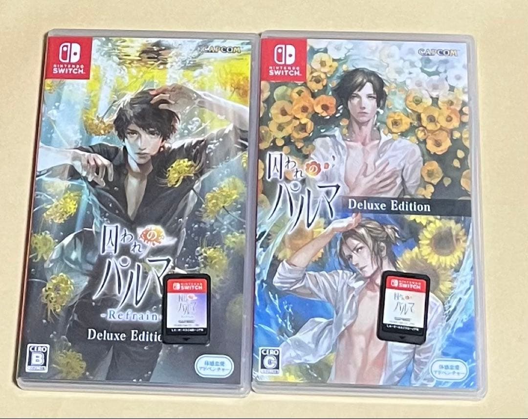 switch 囚われのパルマ 2本セット 動作確認済