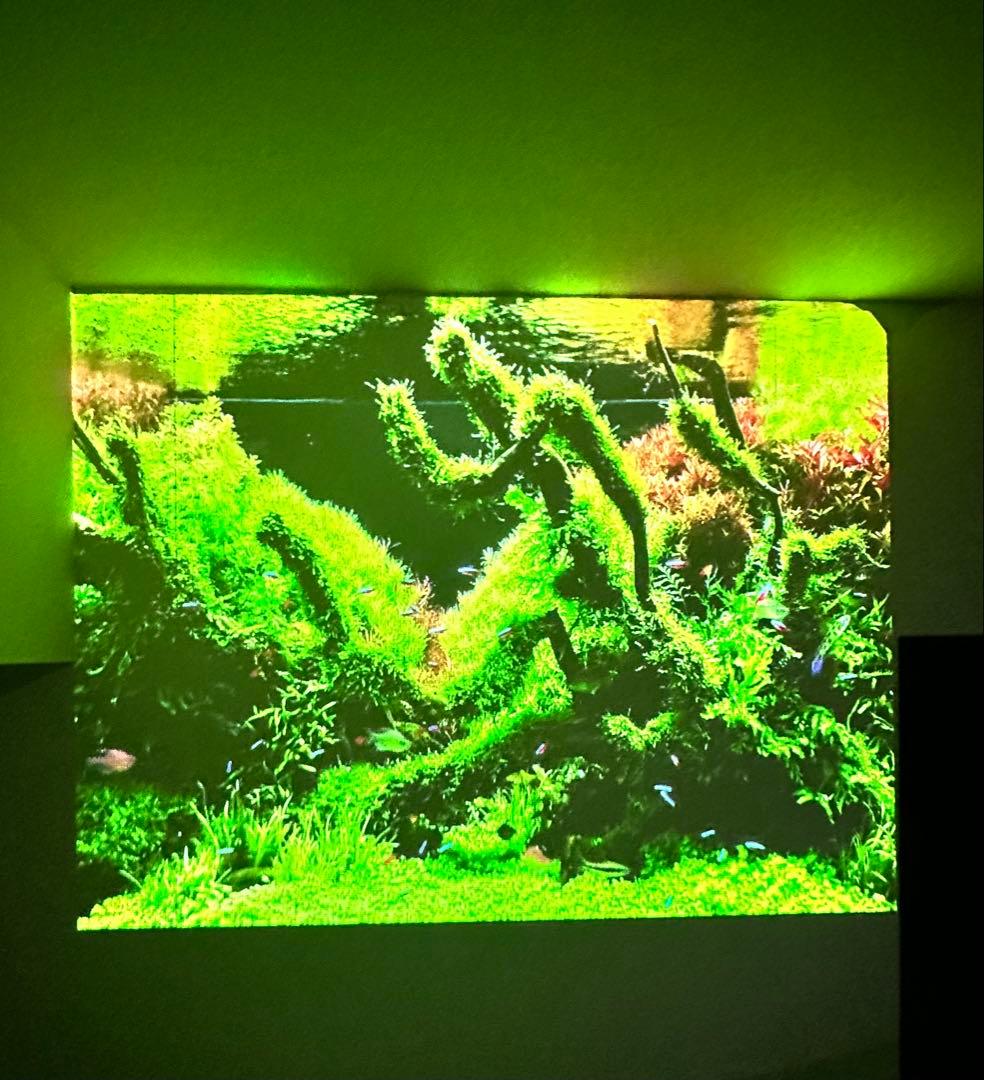 Aladdin X2 Plus 天井照明一体型プロジェクター/現行最新モデル✨