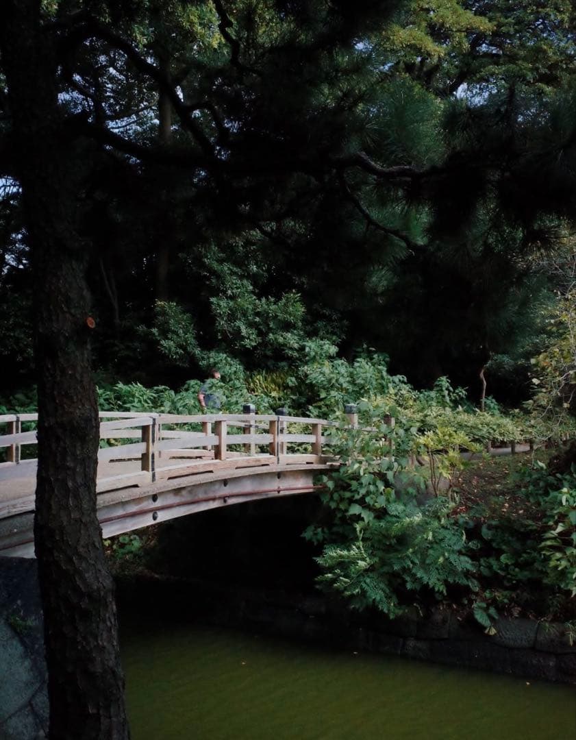 RICOH GR2 デジタルカメラ[美品]