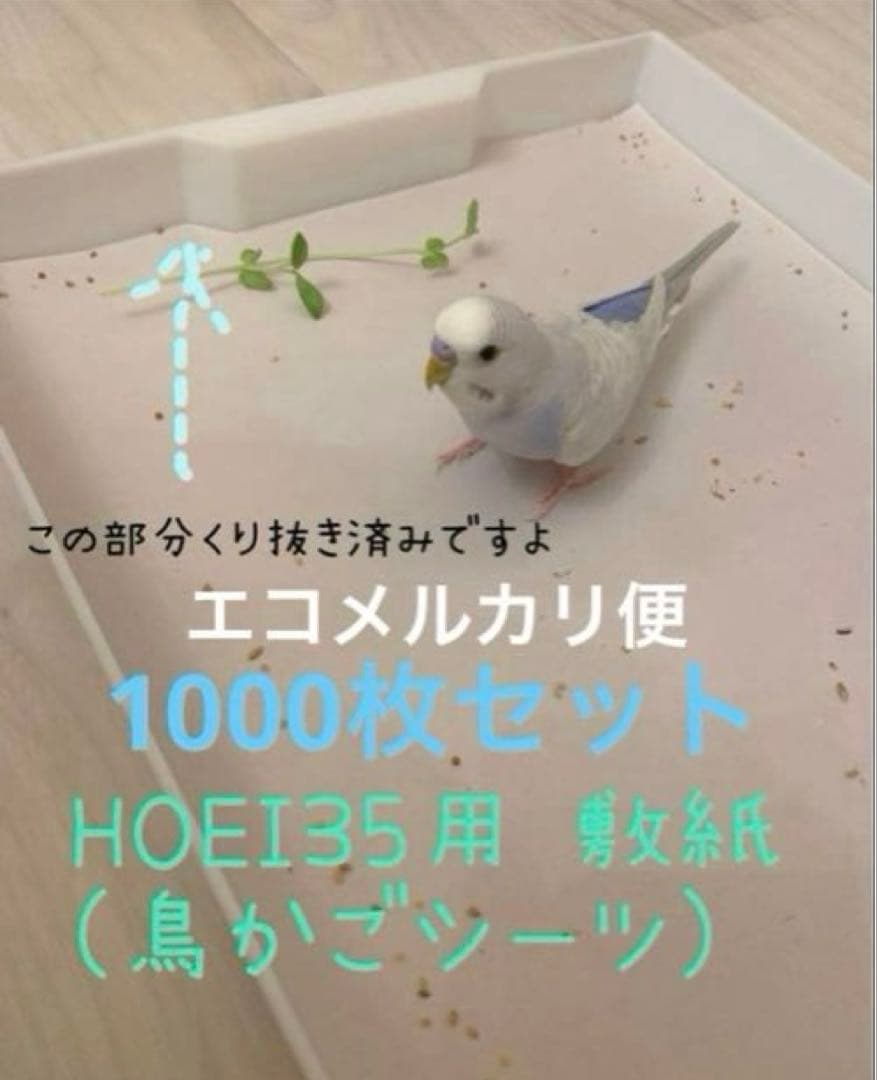 エコメルカリ便 1000枚セット HOEI 35用