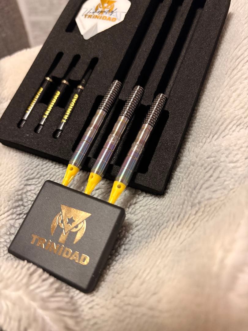 ヒューゴリョン　hugotype2