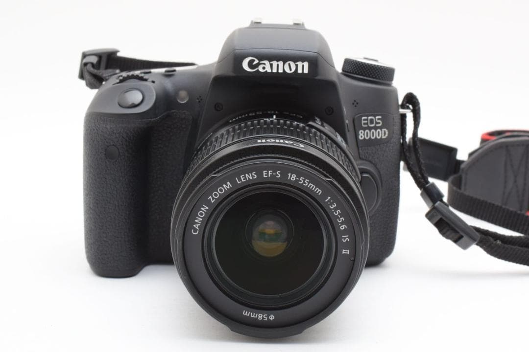 動作品　9854ショット　EOS 8000D ダブルレンズ SD64/フィルム