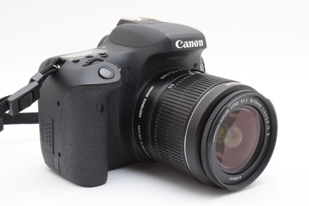 動作品　9854ショット　EOS 8000D ダブルレンズ SD64/フィルム