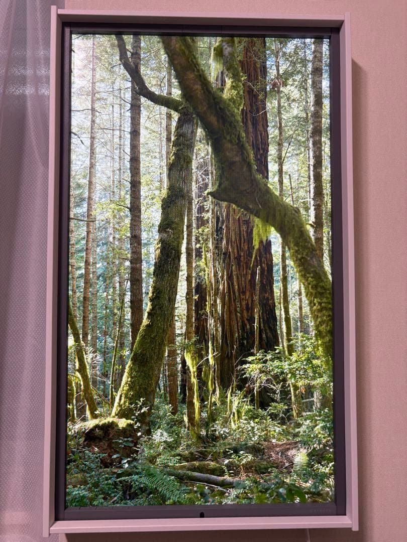 【値下げ‼︎】Atmoph Window 2